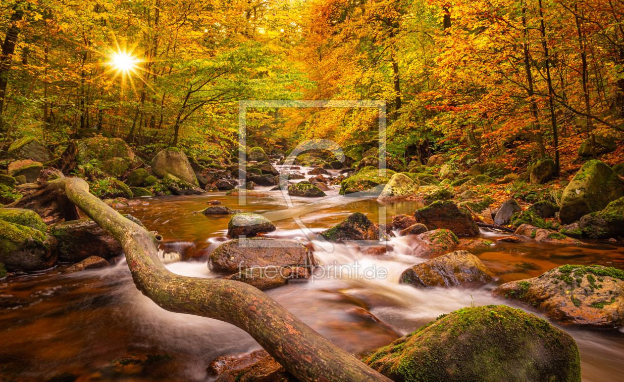Bild-Nr.: 12494104 Sonnenstern im Ilsetal  erstellt von Steffen Henze