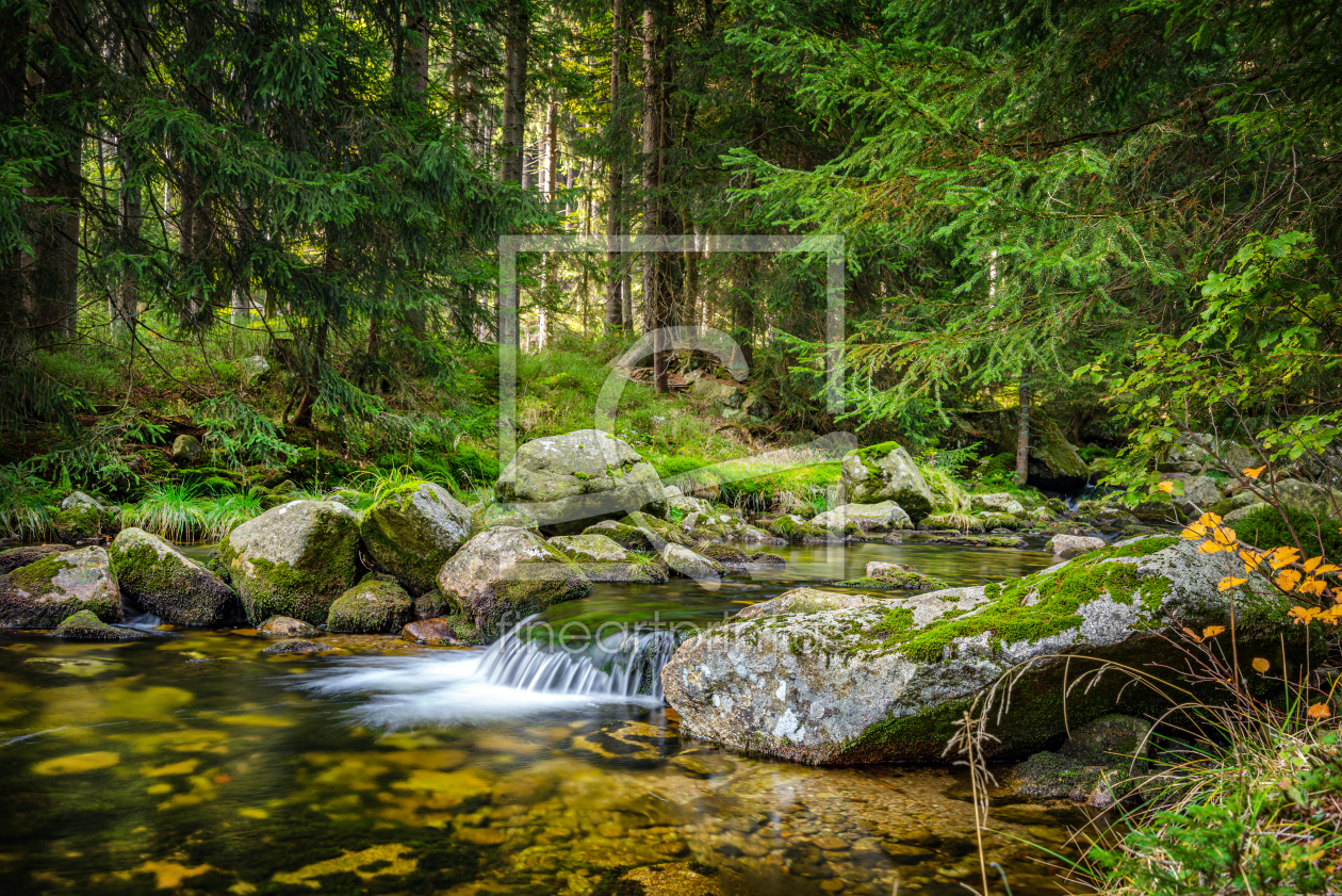 Bild-Nr.: 12500976 Herbstlicher Wald erstellt von FotoDeHRO