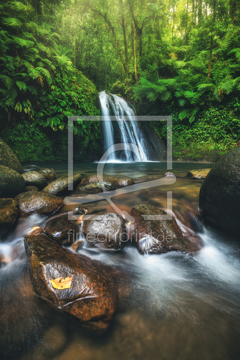 Bild-Nr.: 12503412 Guadeloupe Cascade aux Ecrivisses Wasserfall erstellt von Jean Claude Castor