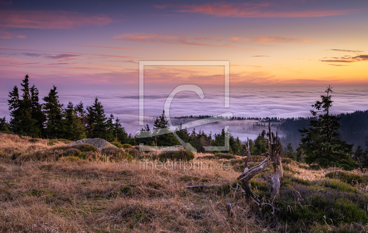 Bild-Nr.: 12511323 Blaue Stunde im Harz  erstellt von Steffen Henze