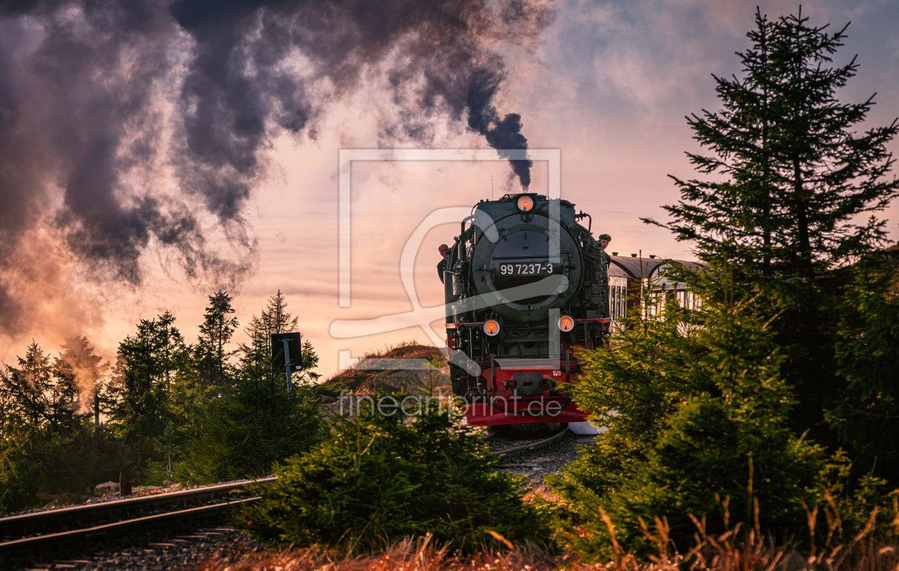 Bild-Nr.: 12512083 Lokomotive im Harz  erstellt von Steffen Henze