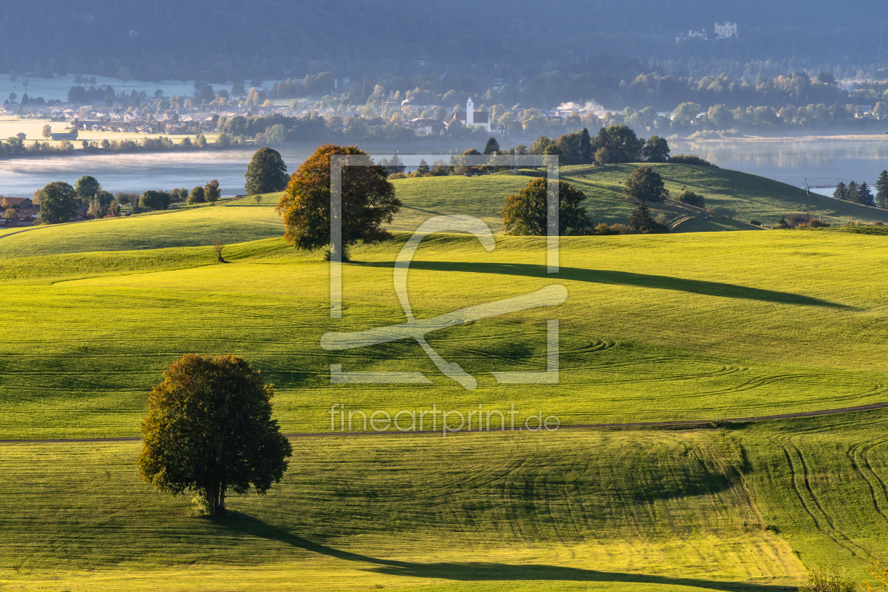 Bild-Nr.: 12526523 Herbst im Allgäu erstellt von Achim Thomae