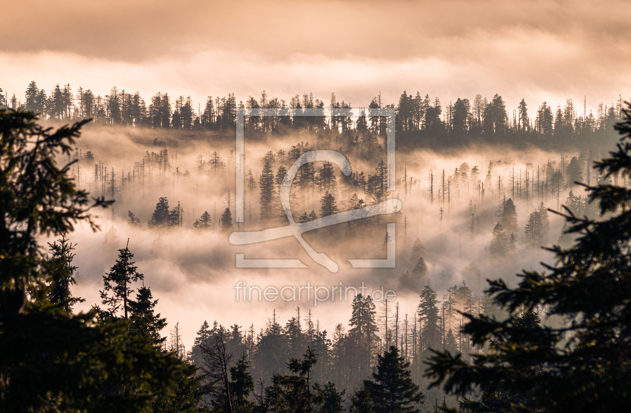 Bild-Nr.: 12527795 Mystische Stimmung im Harz  erstellt von Steffen Henze