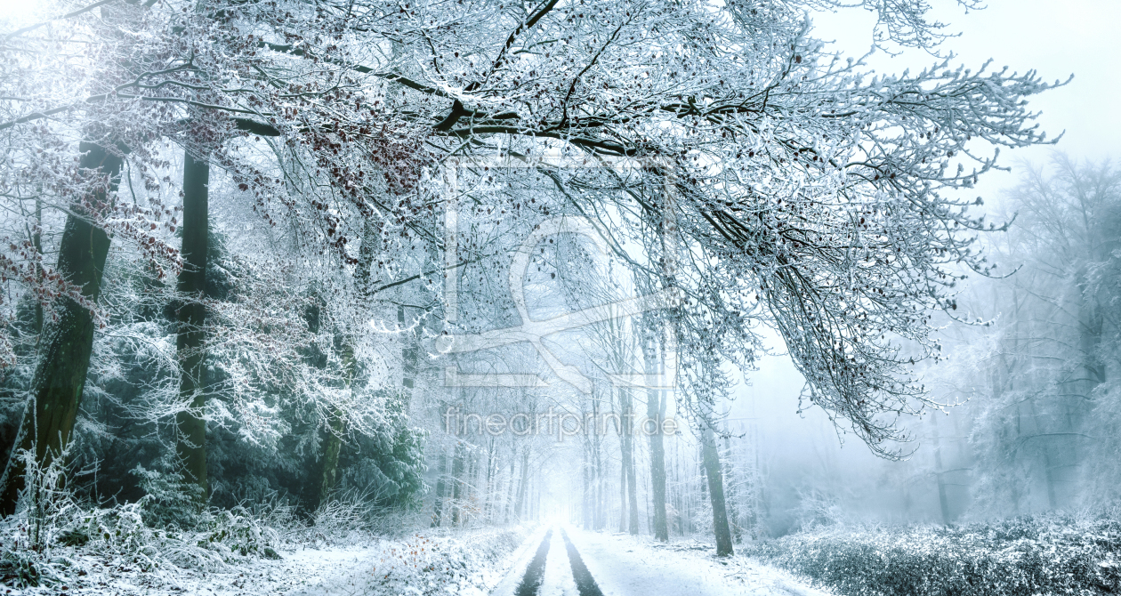Bild-Nr.: 12528130 Wanderweg im Schnee erstellt von Smileus