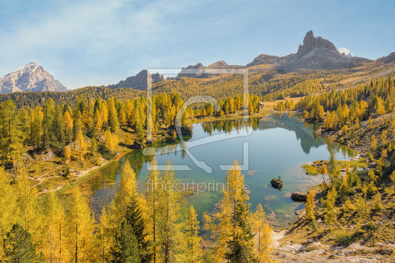 Bild-Nr.: 12528178 Gelbe Lärchen am Lago Federa in den Dolomiten erstellt von Michael Valjak