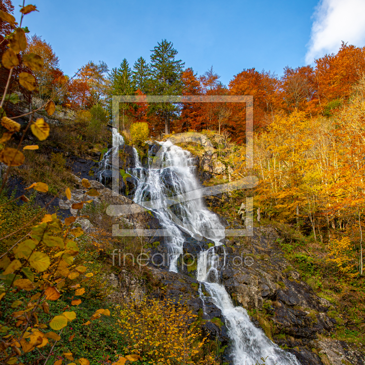 Bild-Nr.: 12534315 Todtnauer Wasserfall im Herbst erstellt von alexwolff68