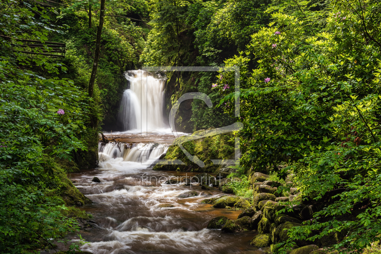 Bild-Nr.: 12542608 Geroldsauer Wasserfall im Nordschwarzwald erstellt von Michael Valjak