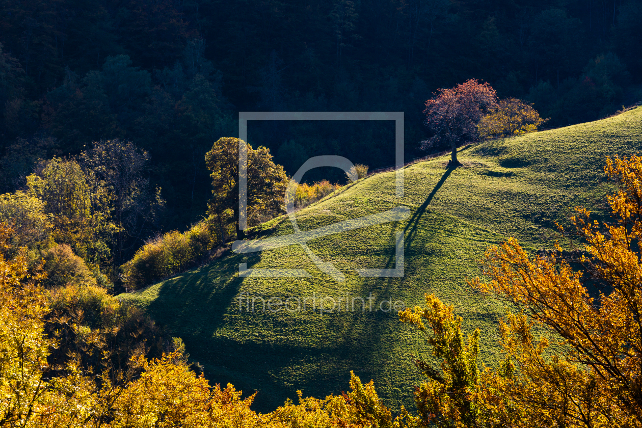 Bild-Nr.: 12552265 Herbst im Schwarzwald erstellt von dieterich