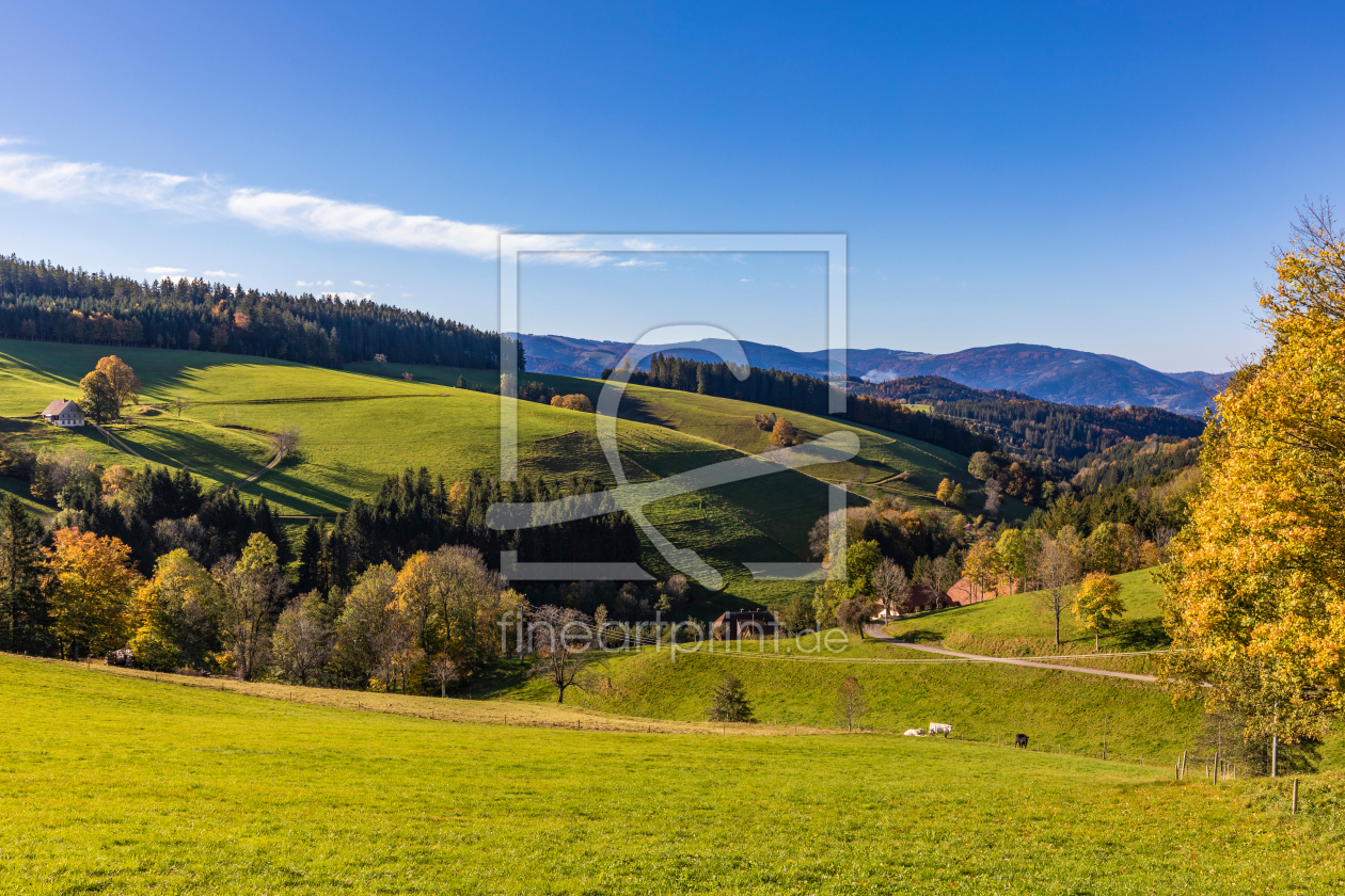 Bild-Nr.: 12552271 Schwarzwald bei Sankt Peter  erstellt von dieterich