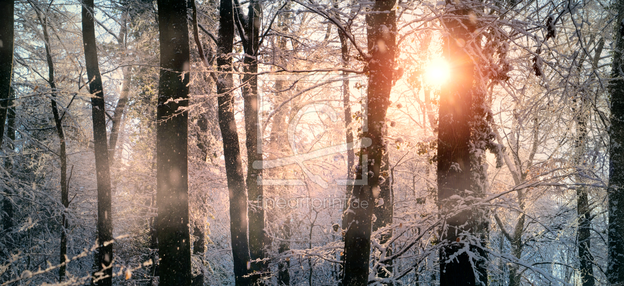 Bild-Nr.: 12554228 Verzauberte Winterszene im Wald erstellt von Smileus