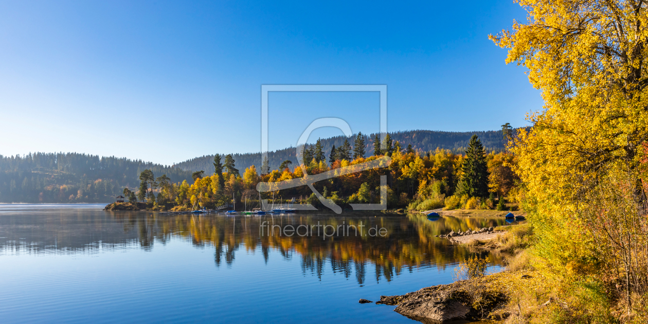 Bild-Nr.: 12557377 Herbst am Schluchsee im Schwarzwald  erstellt von dieterich