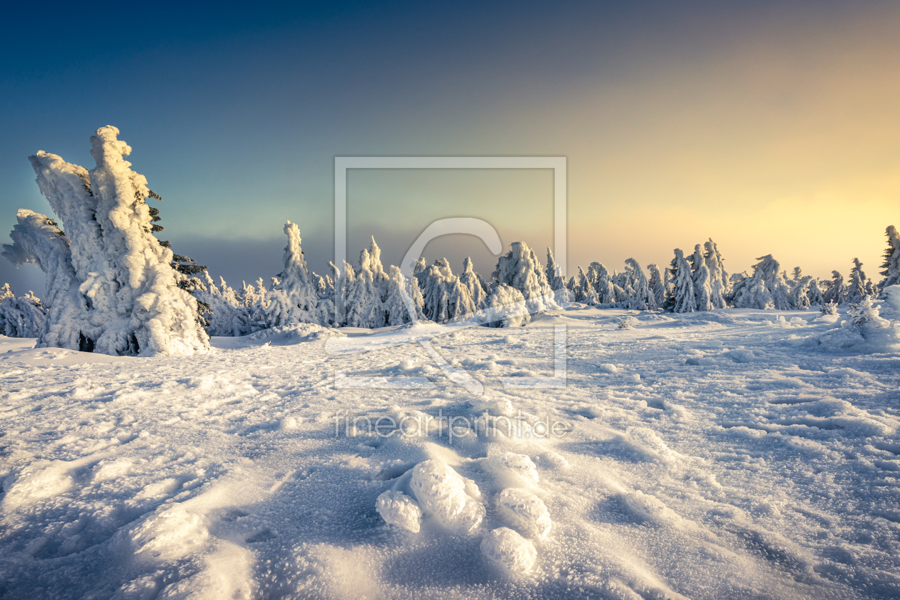 Bild-Nr.: 12558803 Winterspiele auf dem Brocken  erstellt von Steffen Henze