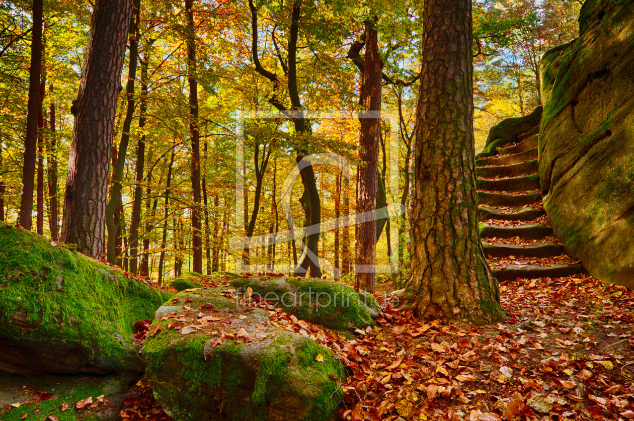 Bild-Nr.: 12559895 Herbstwald mit Felsentreppe erstellt von Togarini