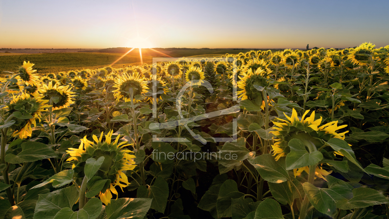 Bild-Nr.: 12561727 Richtung Sonne erstellt von KundenNr-294234