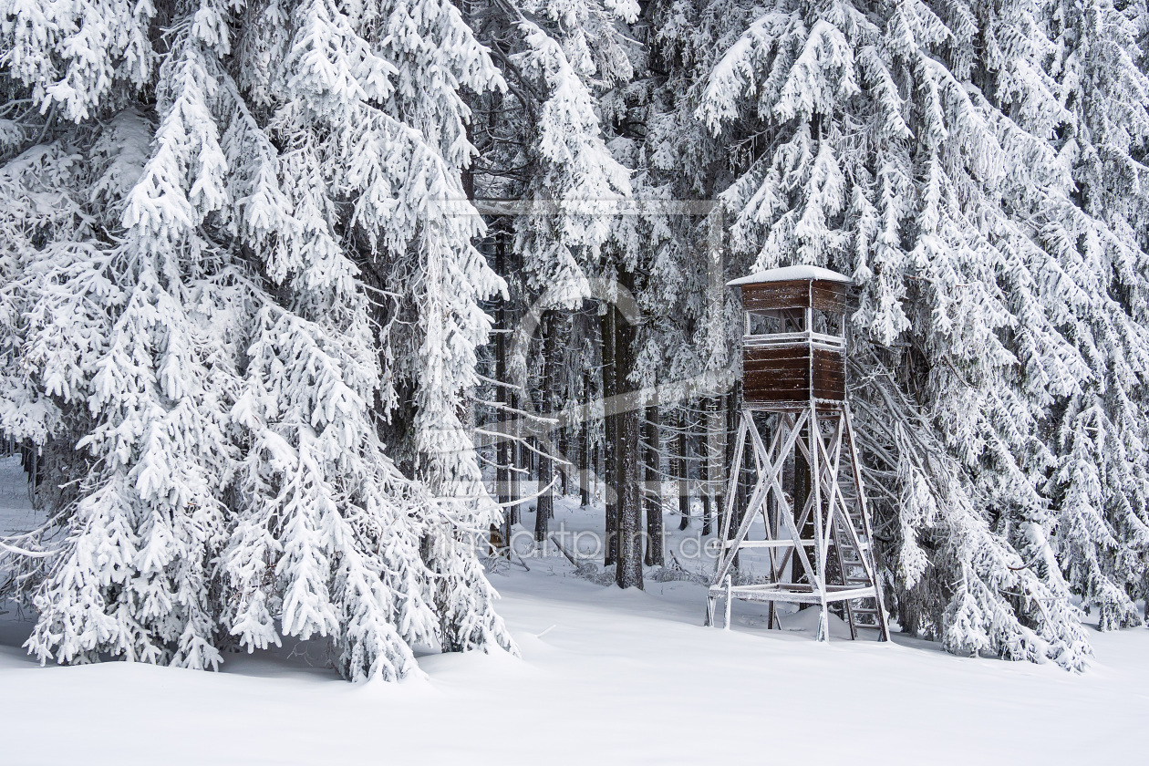 Bild-Nr.: 12561855 Landschaft im Winter im Thüringer Wald erstellt von Rico Ködder