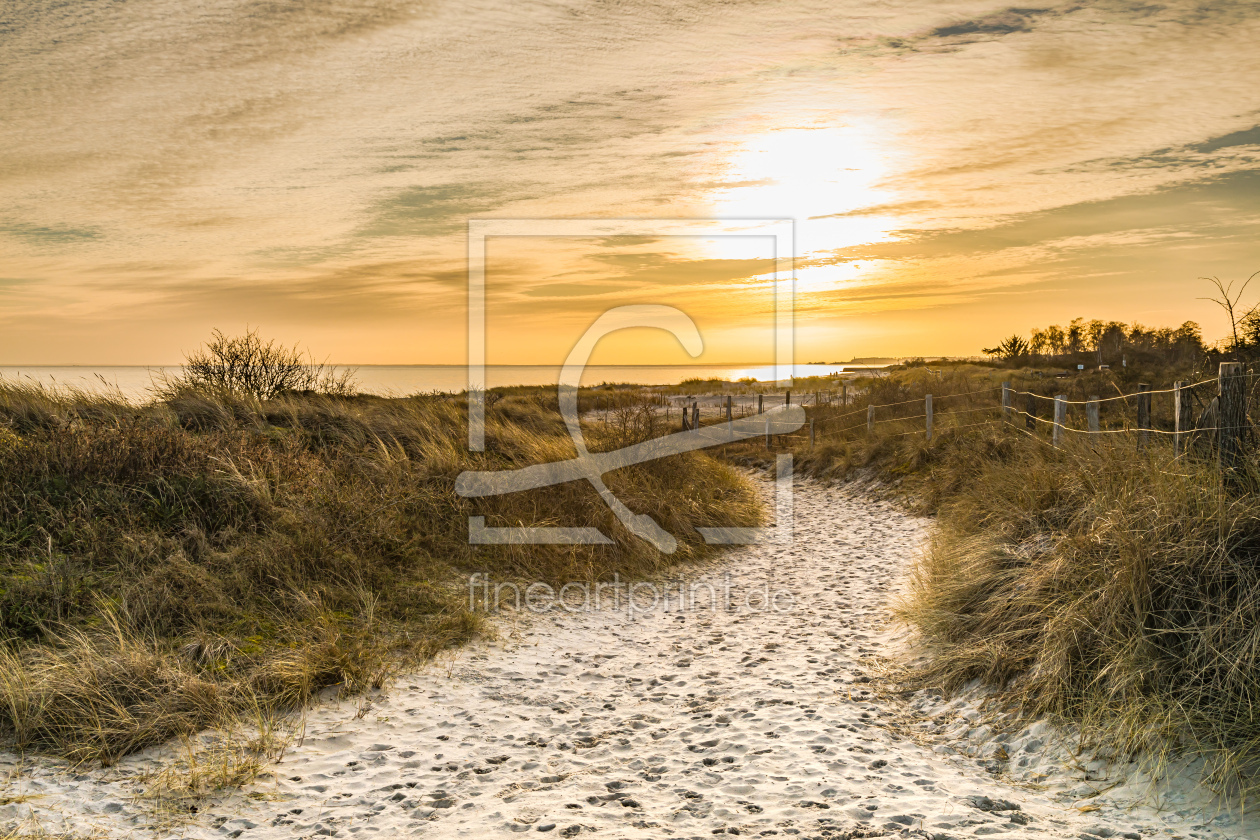 Bild-Nr.: 12563966 Stranddünen in der Abendsonne   erstellt von Ursula Reins