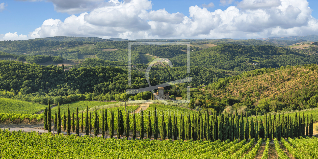 Bild-Nr.: 12566422 Zypressenallee in der Toskana erstellt von KundenNr-360966