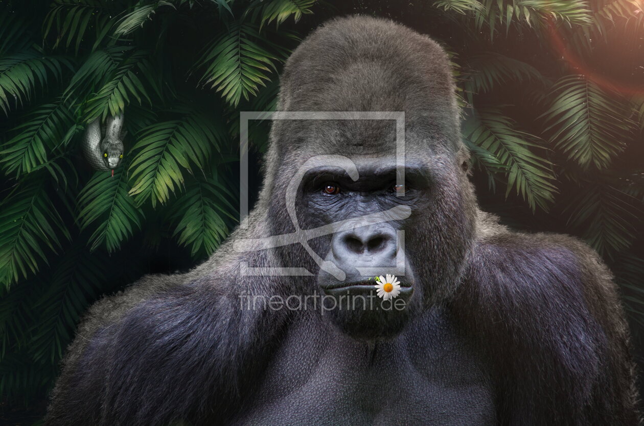 Bild-Nr.: 12569367 Der Gorilla ist ganz schön unbekümmert erstellt von Ina  Penning