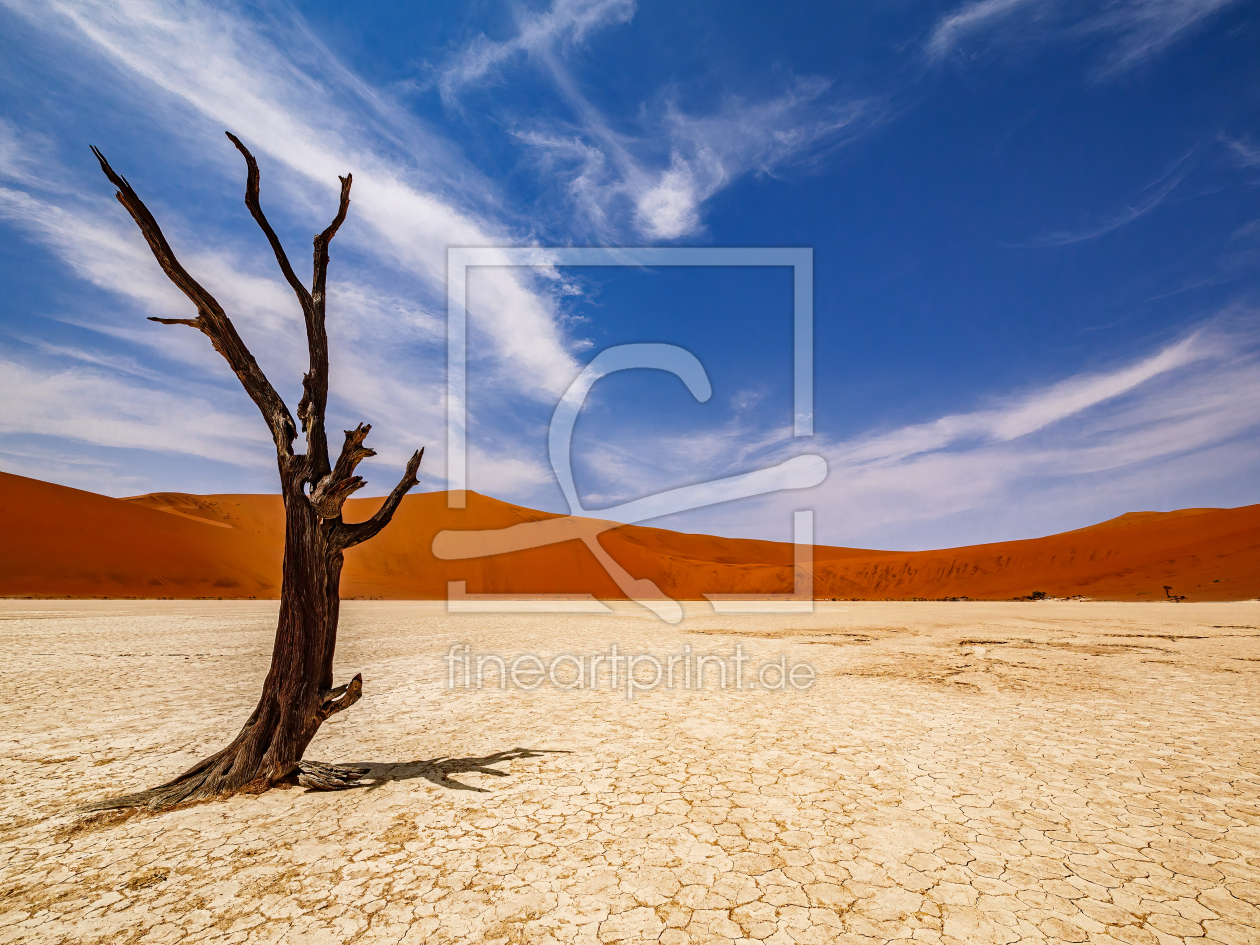 Bild-Nr.: 12572784 Sossusvlei Baumwächter erstellt von andreasschwalm