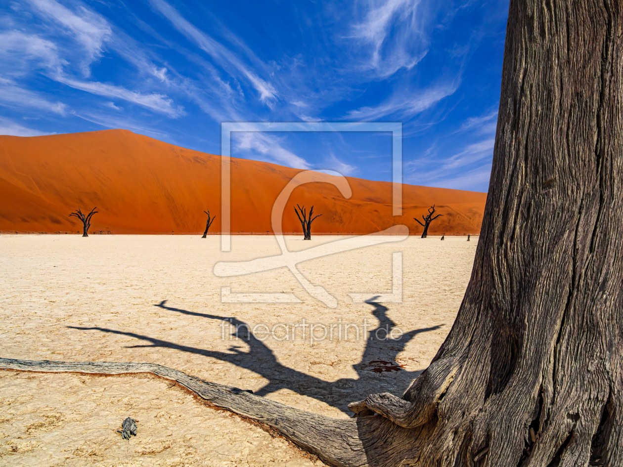 Bild-Nr.: 12572787 Sossusvlei Baumwurzeln erstellt von andreasschwalm