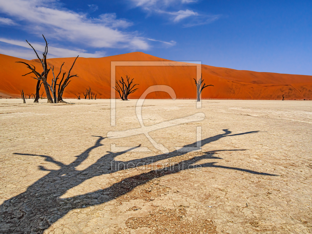 Bild-Nr.: 12572789 Sossusvlei Baumschatten erstellt von andreasschwalm