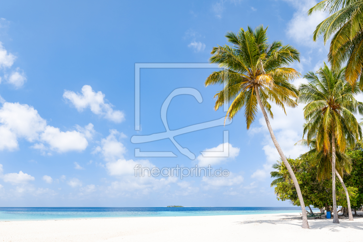Bild-Nr.: 12573683 Kokospalme am Strand erstellt von eyetronic