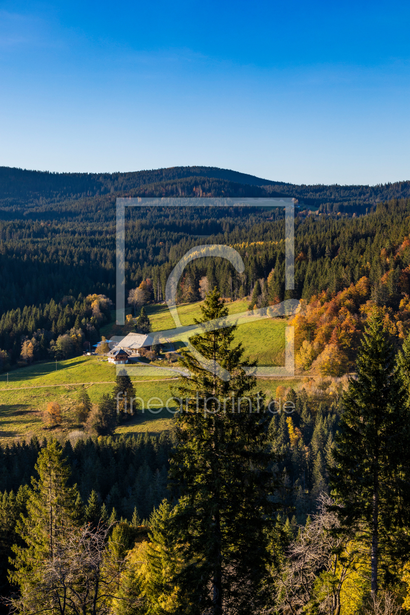 Bild-Nr.: 12578808 Schwarzwaldhaus im Hochschwarzwald erstellt von dieterich
