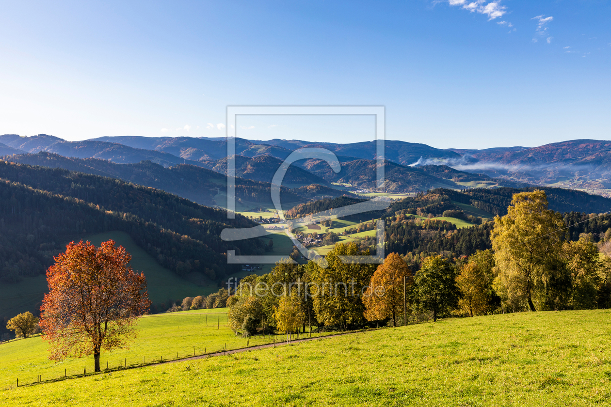 Bild-Nr.: 12580803 Landschaft bei Sankt Peter im Schwarzwald erstellt von dieterich