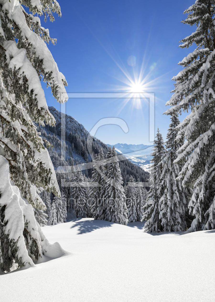 Bild-Nr.: 12581082 Sonne Wald und Schnee erstellt von Andreas Föll