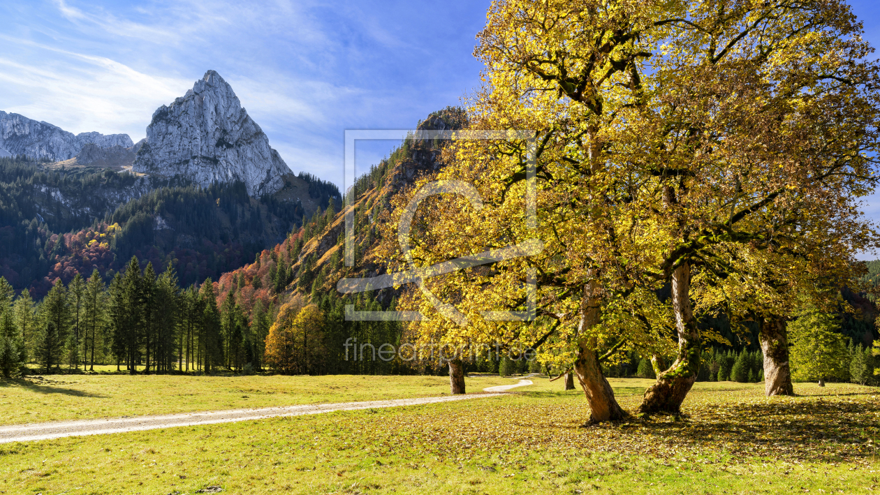 Bild-Nr.: 12581096 Herbst in den Ammergauer Alpen erstellt von Andreas Föll