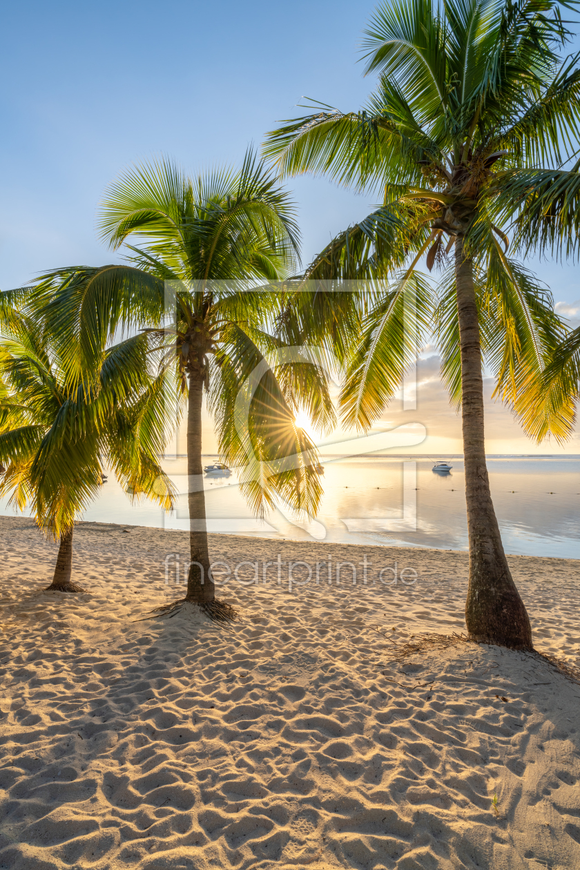 Bild-Nr.: 12583970 Palmenstrand bei Sonnenuntergang erstellt von eyetronic