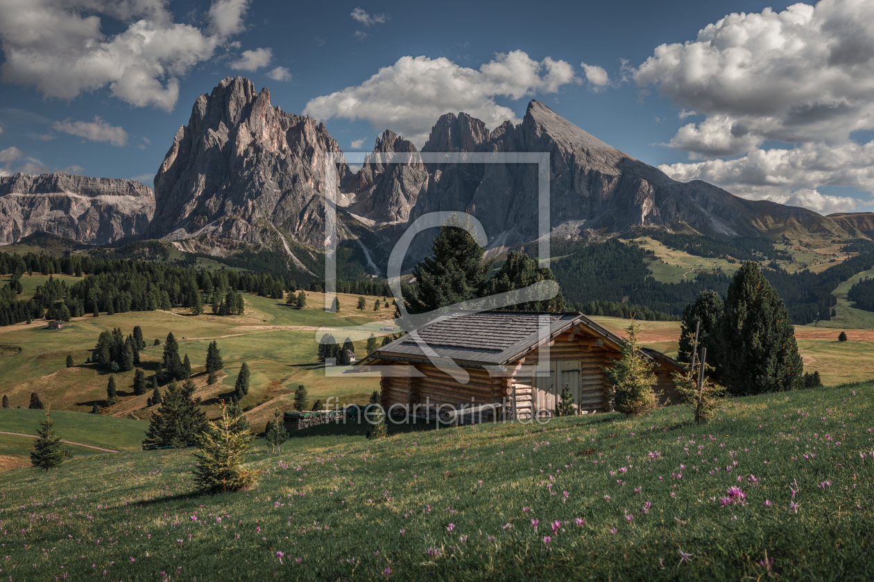 Bild-Nr.: 12584389 Blumenwiese mit Hütte an Seiser Alm in Dolomiten erstellt von BastianLinder