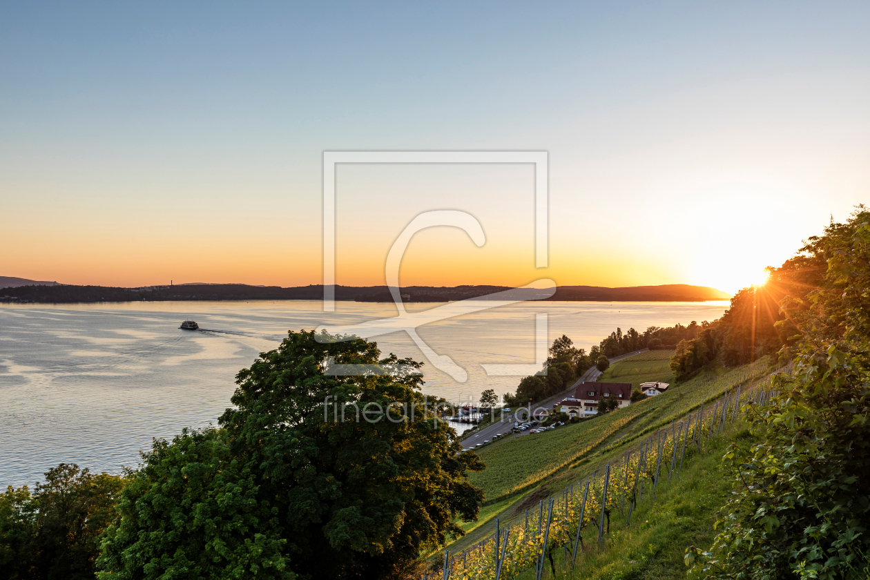 Bild-Nr.: 12587664 Weinberg in Meersburg am Bodensee  erstellt von dieterich