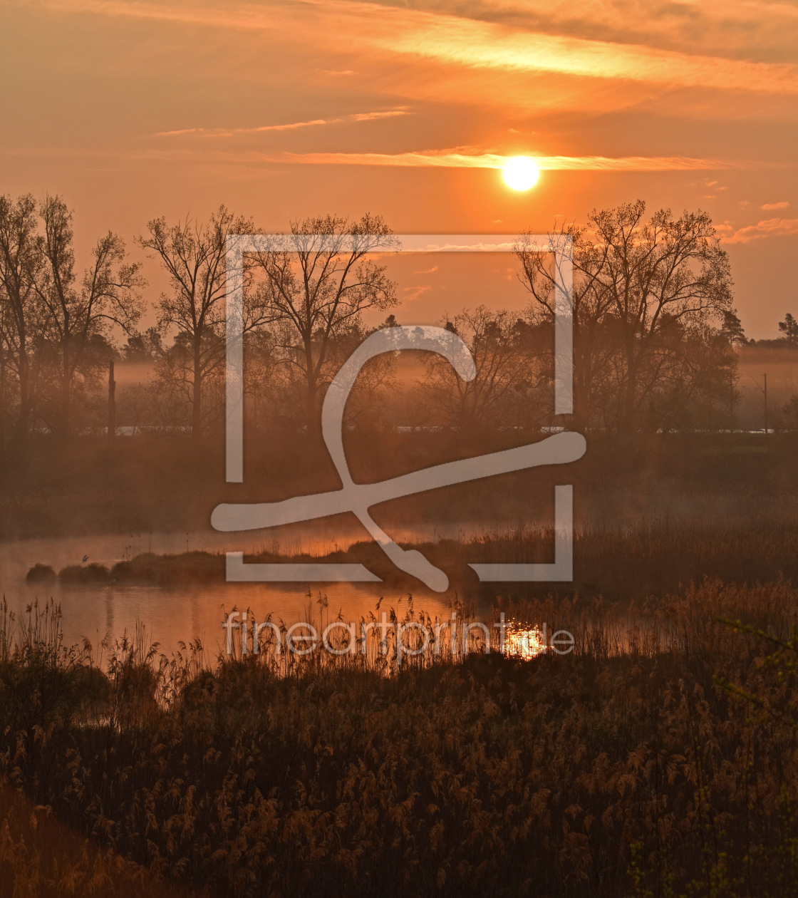 Bild-Nr.: 12587779 Morgenstimmung im Moor erstellt von GUGIGEI