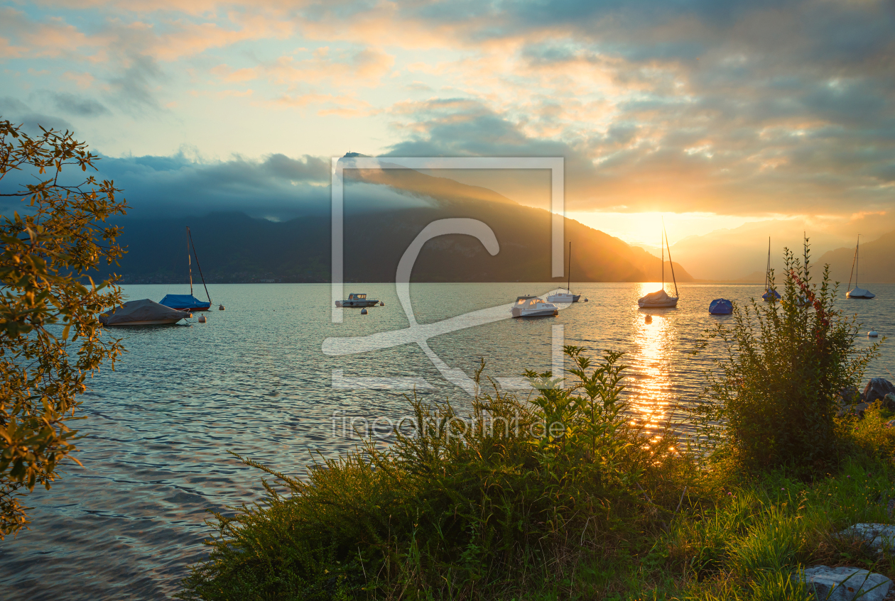 Bild-Nr.: 12589665 Sonnenaufgang am Thunersee erstellt von SusaZoom