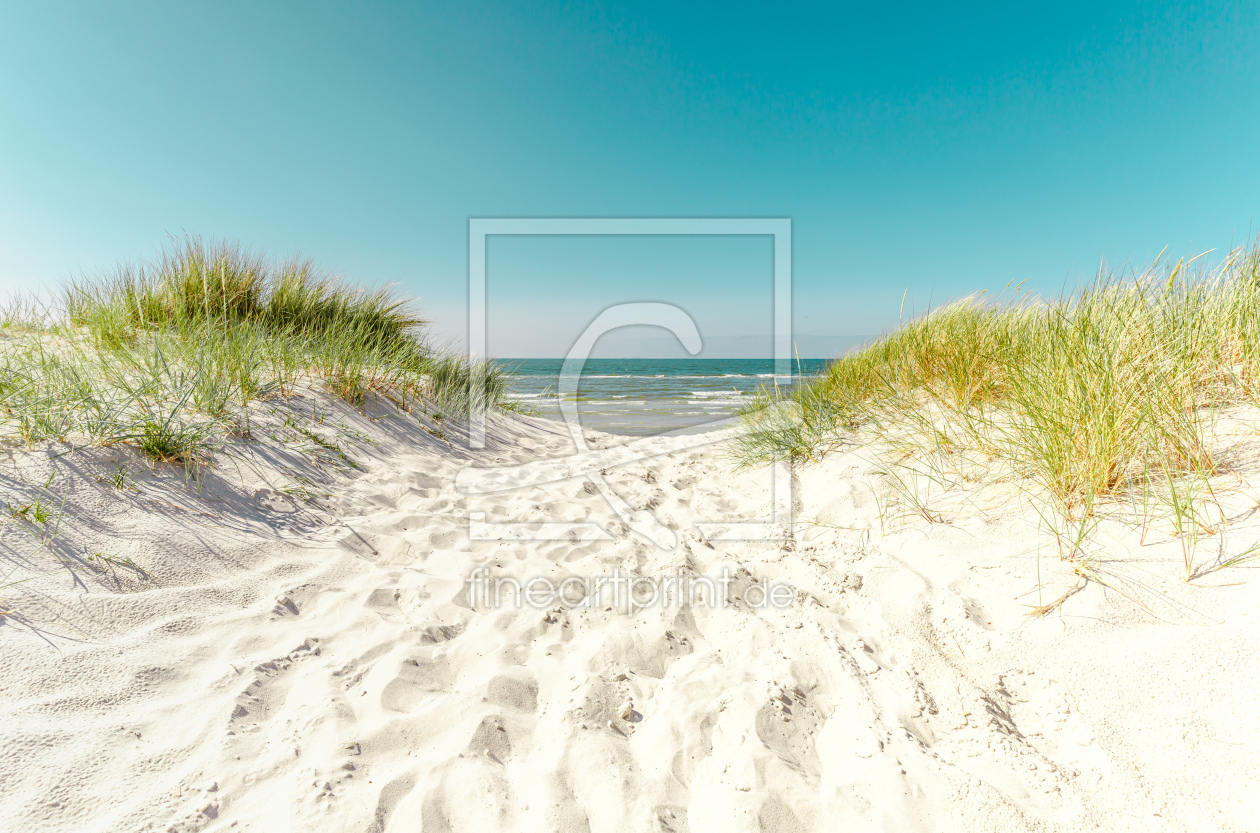 Bild-Nr.: 12592314 Stranddüne   erstellt von Ursula Reins