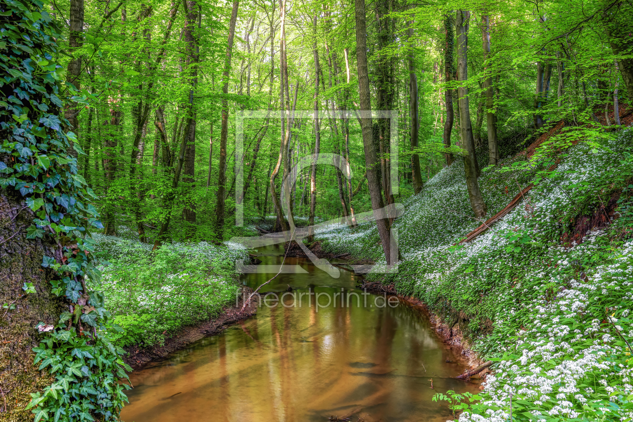 Bild-Nr.: 12592581 Waldbaden mit Aromatherapie erstellt von 