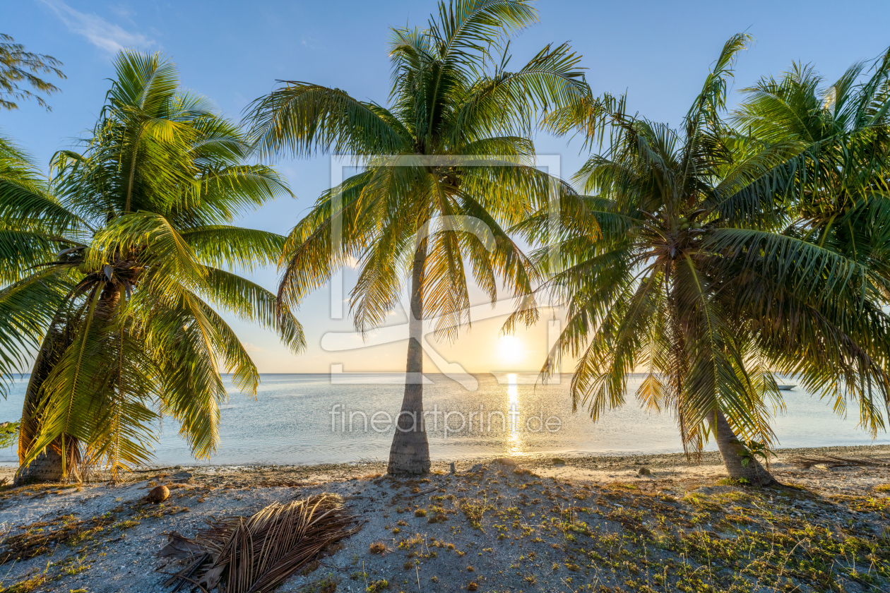 Bild-Nr.: 12595546 Sonnenuntergang am Palmenstrand erstellt von eyetronic