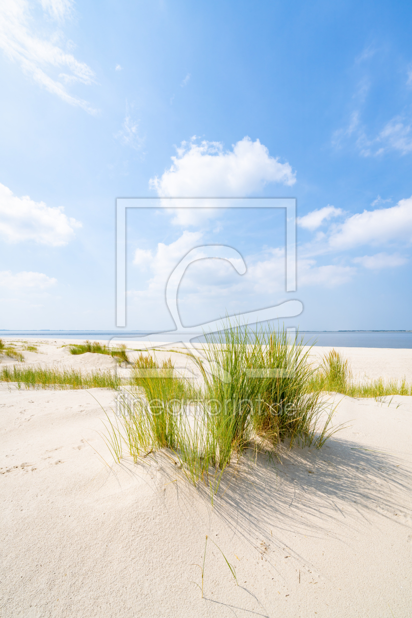 Bild-Nr.: 12595930 Sonniges Wetter am Dünenstrand erstellt von eyetronic