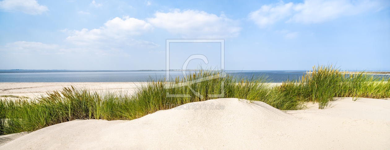 Bild-Nr.: 12596078 Dünenlandschaft im Sommer erstellt von eyetronic
