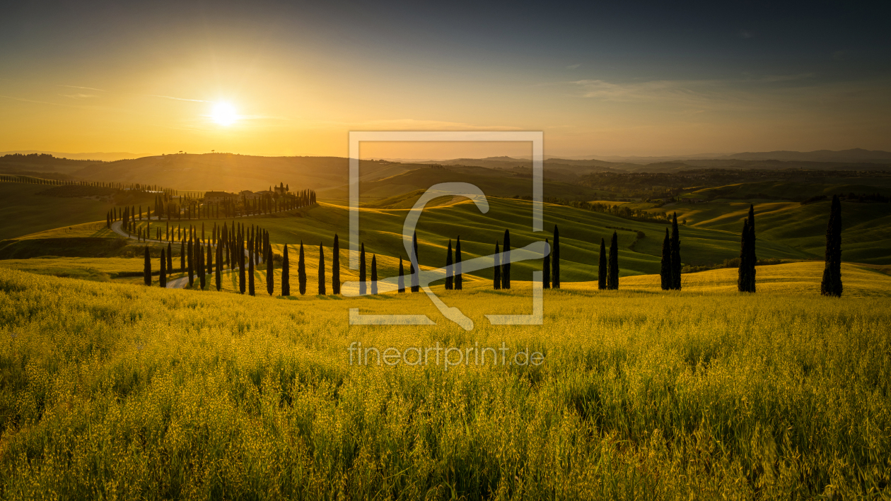 Bild-Nr.: 12600574 Sonnenaufgang in der Toscana im Val dOrcia erstellt von Rigatoni