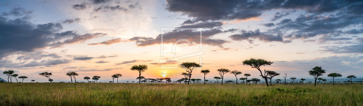 Bild-Nr.: 12605325 Sonnenaufgang in der Maasai Mara erstellt von eyetronic