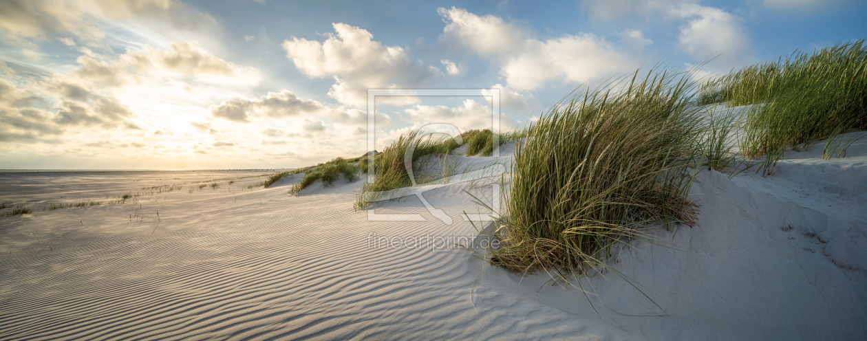 Bild-Nr.: 12606257 Dünenlandschaft im Sonnenlicht erstellt von eyetronic