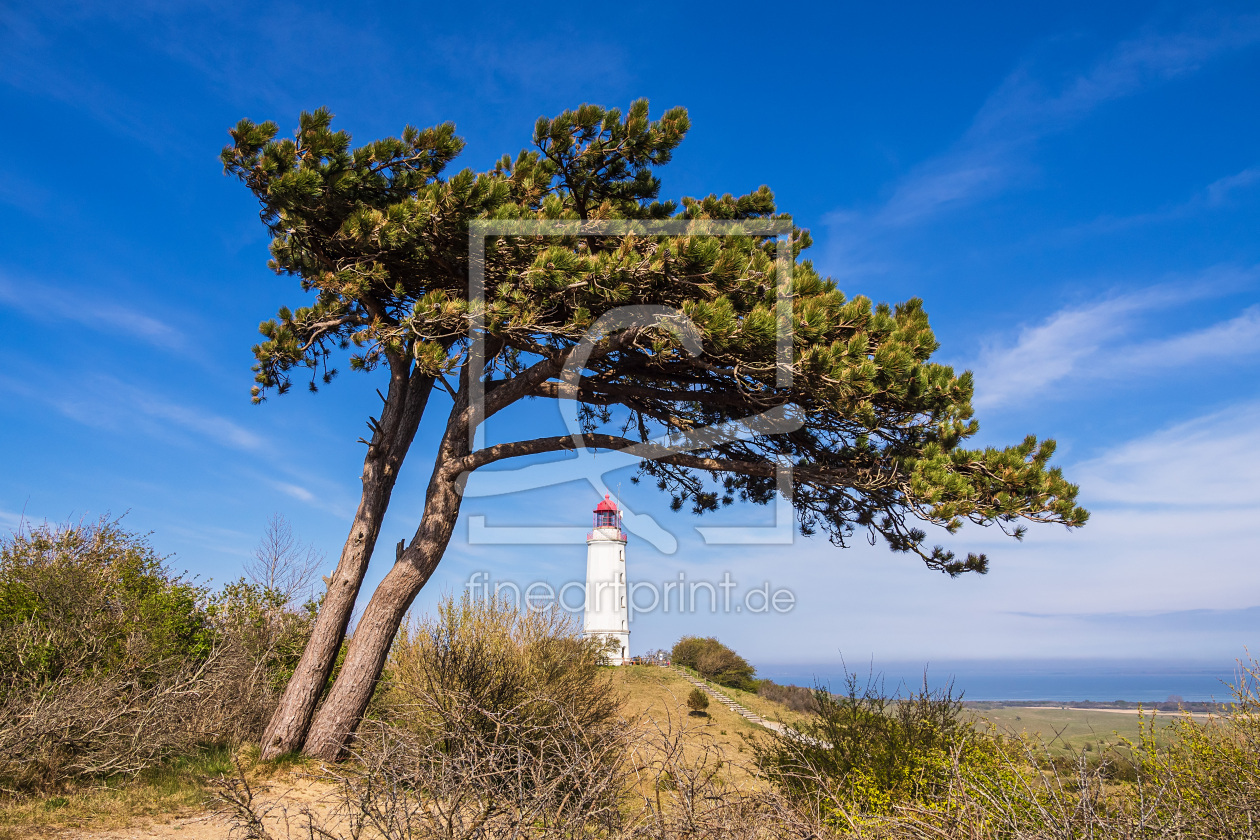 Bild-Nr.: 12612557 Der Leuchtturm Dornbusch auf der Insel Hiddensee erstellt von Rico Ködder
