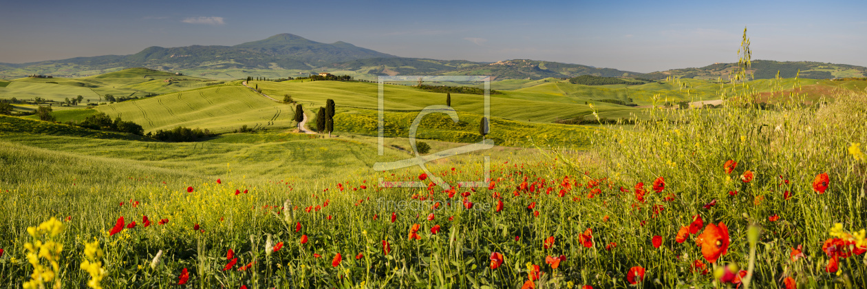 Bild-Nr.: 12615040 Orcia-Tal erstellt von Walter G. Allgöwer