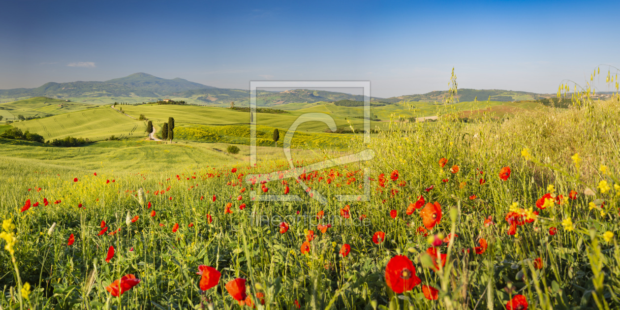 Bild-Nr.: 12615446 Frühling in der Toskana erstellt von Walter G. Allgöwer