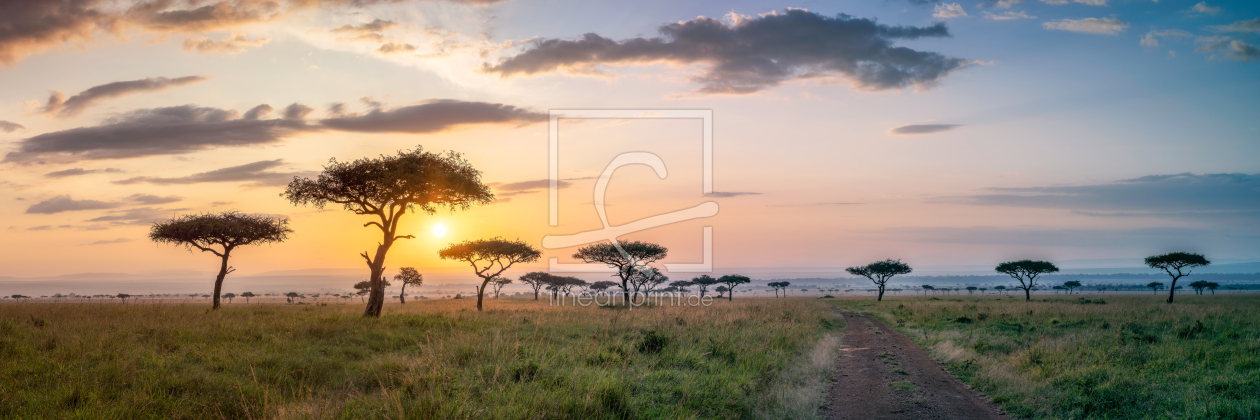 Bild-Nr.: 12616586 Masai Mara Panorama bei Sonnenaufgang erstellt von eyetronic
