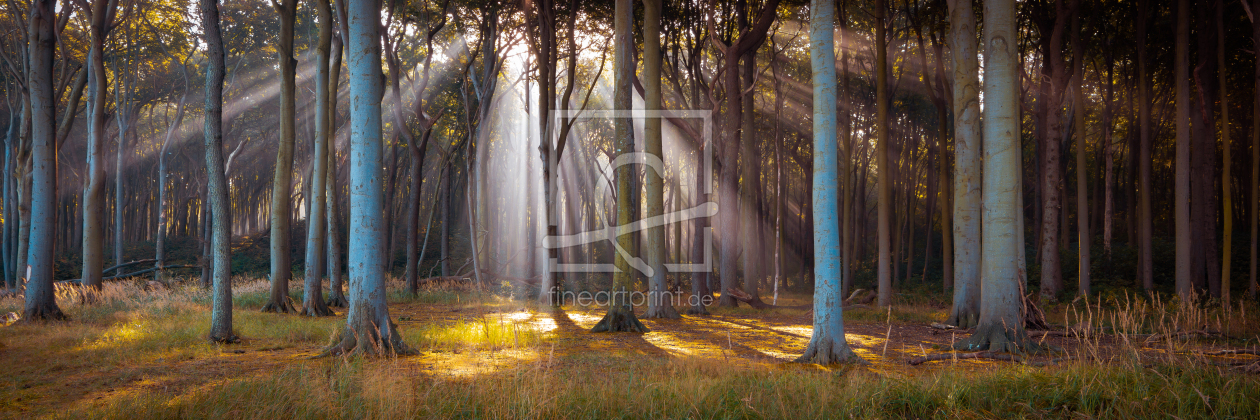 Bild-Nr.: 12617399 Gespensterwald Panorama erstellt von Martin Martin Wasilewski