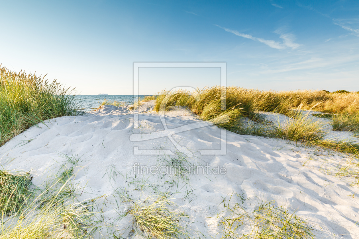 Bild-Nr.: 12617854 Ostsee Dünen Zauberland erstellt von Ursula Reins