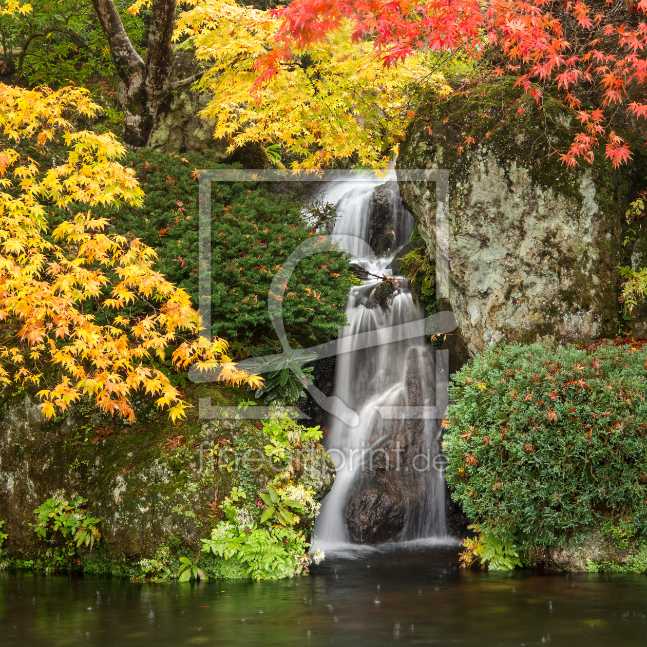 Bild-Nr.: 12621502 Wasserfall im Herbst erstellt von eyetronic